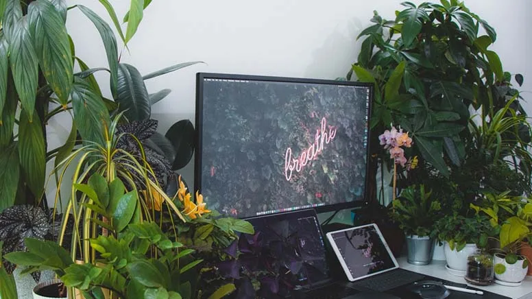 What do you need to run games on PC?