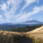 Forza Horizon 6 Release Date, and Forza Horizon 6 System Requirements PC